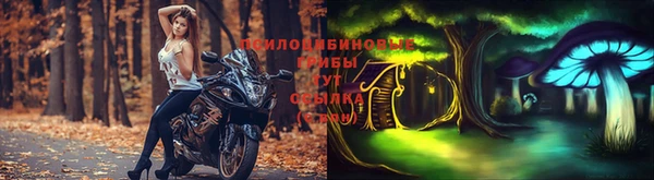 бошки Алзамай