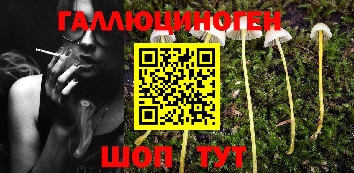 Псилоцибиновые грибы Cubensis  Галлюциногенные грибы GOLDEN TEACHER  Тамбов  Вход с VPN 